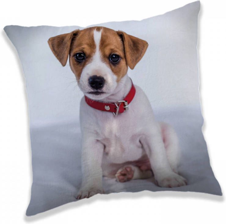 SimbaShop Animal Pictures Kussen Puppy 40 x 40 cm Polyester