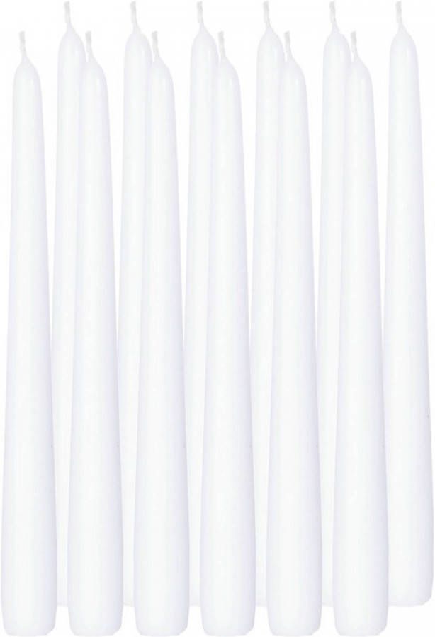 Trend Candles 12x Witte dinerkaarsen 25 cm 8 branduren Geurloze kaarsen Tafelkaarsen kandelaarkaarsen