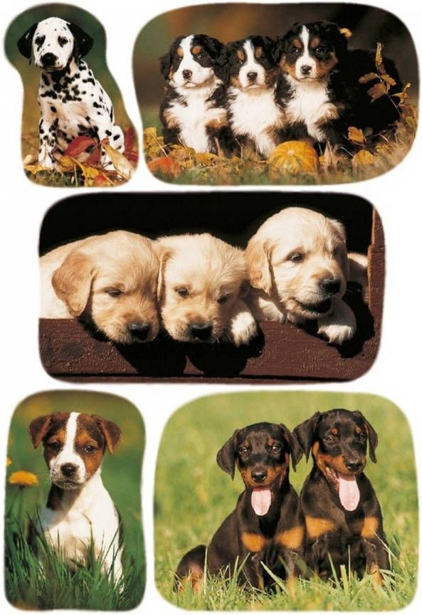 Merkloos 3x Honden puppy stickervellen met 5 stickers