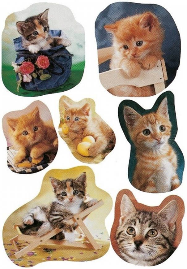 Merkloos 21x Katten poezen dieren stickers kinderstickers stickervellen knutselspullen