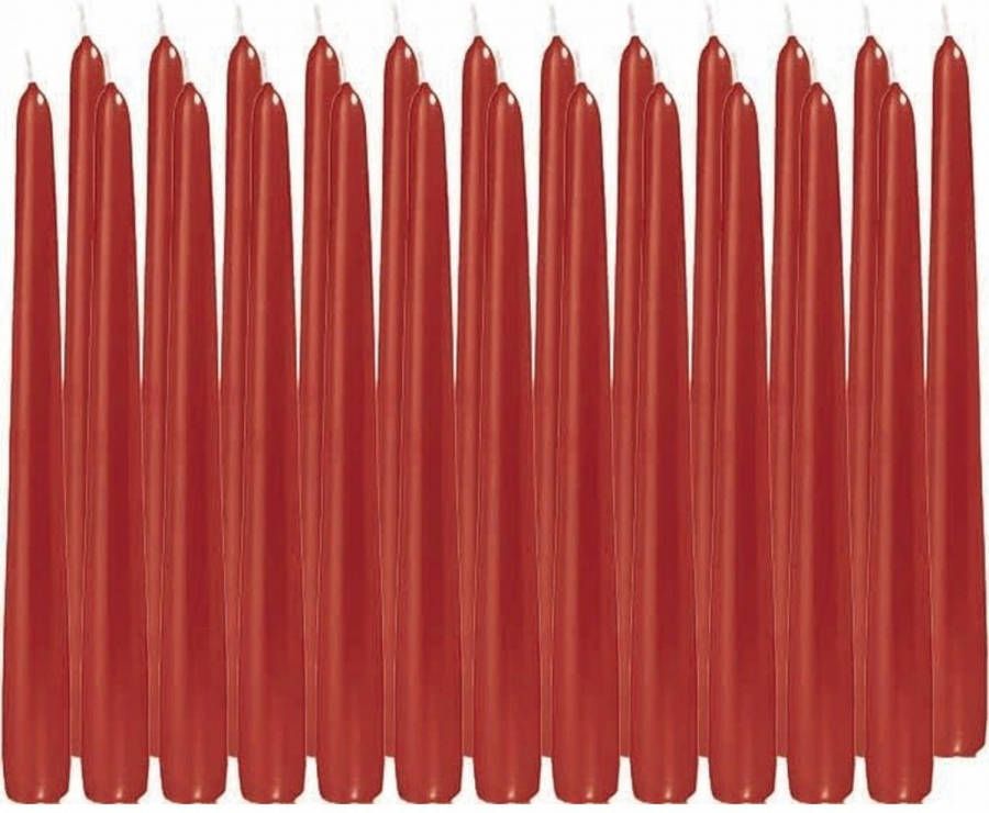 Trend Candles 24x Rode dinerkaarsen 25 cm 8 branduren Geurloze kaarsen Tafelkaarsen kandelaarkaarsen