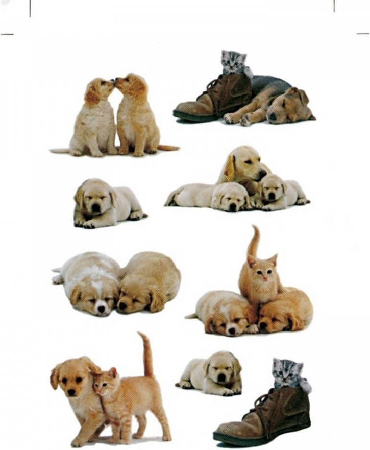 Merkloos 27x Honden puppy stickers met katten poezen -dieren kinderstickers stickervellen knutselspullen