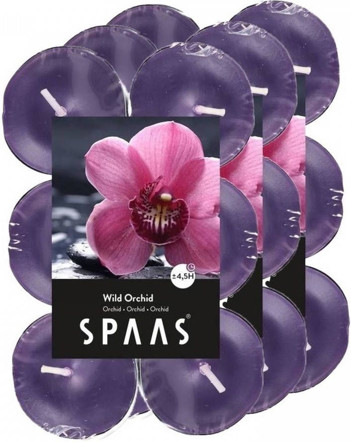 Spaas 36x Geurtheelichtjes Wild Orchid 4 5 branduren Geurkaarsen orchidee bloemen geur Waxinelichtjes