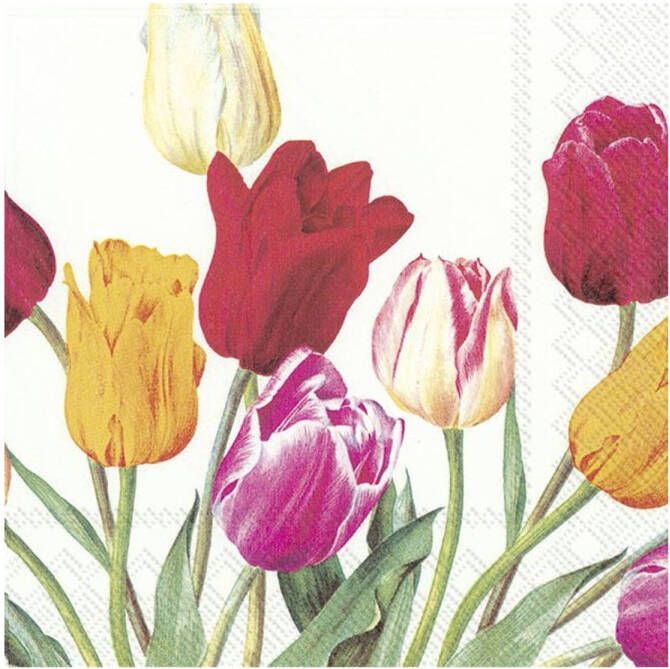 Merkloos 40x Gekleurde 3-laags servetten tulpen 33 x 33 cm Feestservetten
