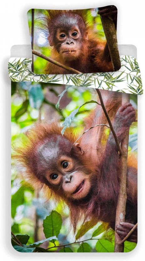 SimbaShop Animal Pictures Dekbedovertrek Orangoetans Eenpersoons 140 x 200 cm Katoen