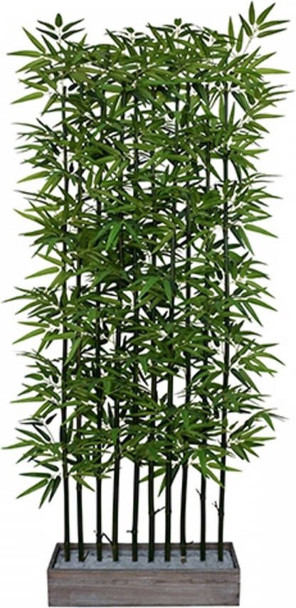 Warentuin Bamboe in rechthoek 180 cm
