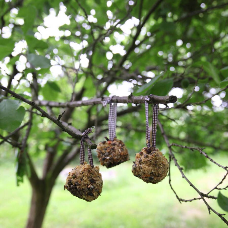 Merkloos Doe-het-zelf Vogelvoer Dennenappels Set Diy