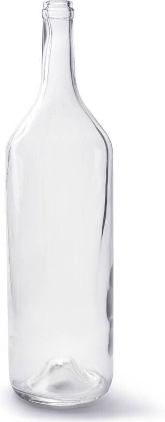 Merkloos Sans marque Transparante fles vaas vazen van glas 14 x 53 cm Woonaccessoires woondecoraties Glazen bloemenvaas Flesvaas flesvazen