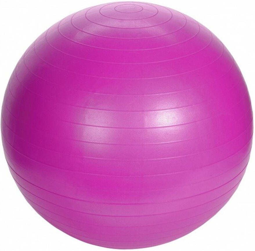 Merkloos Roze sportbal pilatesbal homegym artikelen Fitnessballen