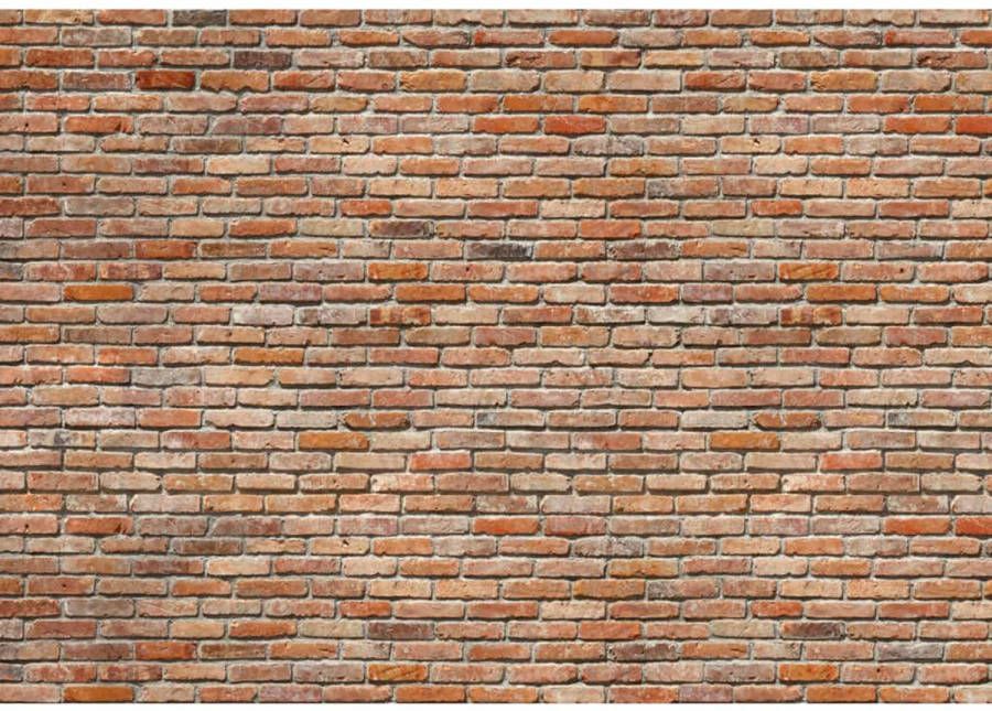 Yourdecoration Komar Fotobehang Exposed Brick Wall 368x254 Cm 8 741 online kopen