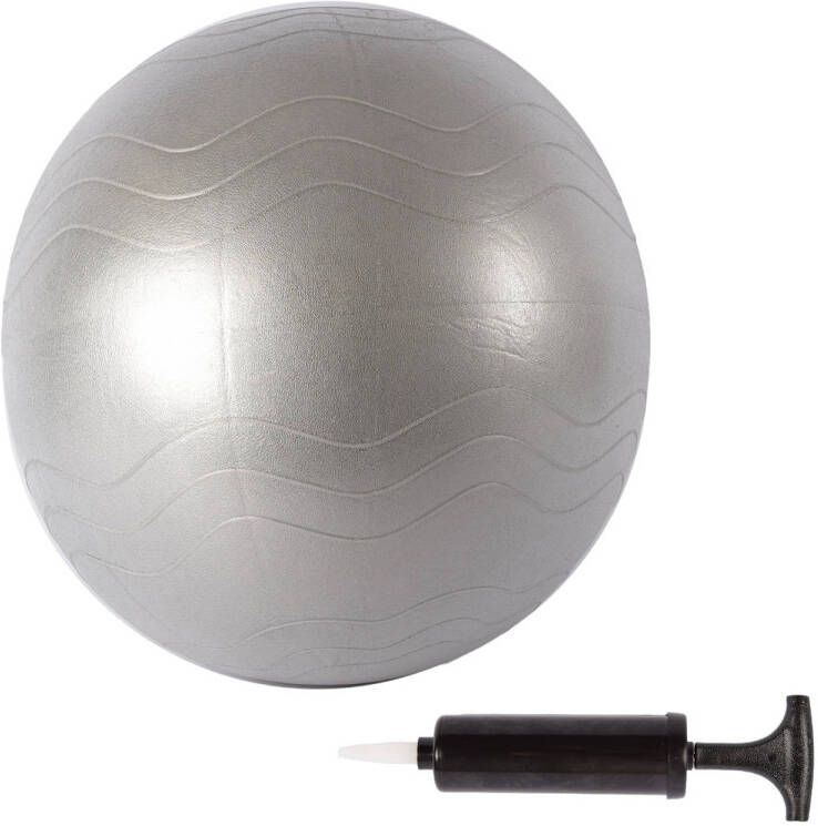 Merkloos Gymball van PVC-Materiaal Grijs Anti-Burst Fitnessbal 65cm Oefenbal voor Yoga Pilates Gymnastiek en