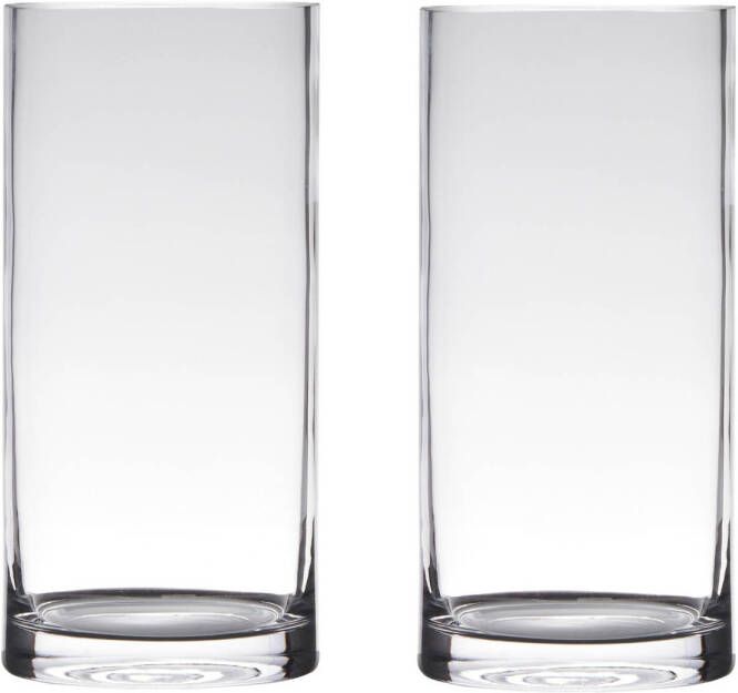 Merkloos Sans marque Set van 2x stuks transparante home-basics Cylinder vorm vaas vazen van glas 25 x 12 cm Bloemen takken boeketten vaas voor binnen gebruik