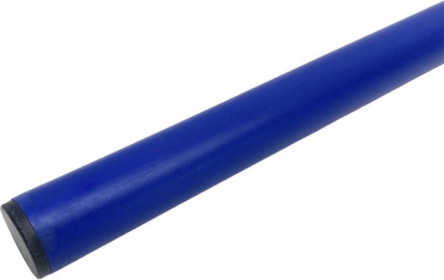 Merkloos Sportpaal PVC Blauw 160 cm