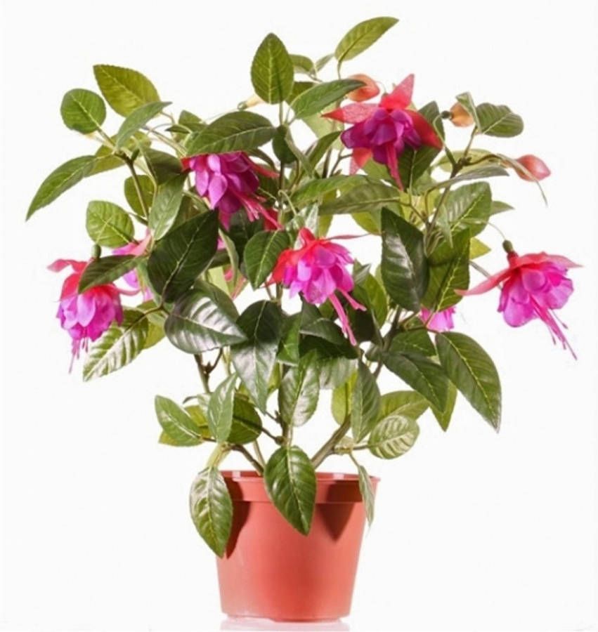Bellatio Flowers & Plants Roze fuchsiaplant kunstplant 30 cm voor binnen kunstplanten nepplanten binnenplanten