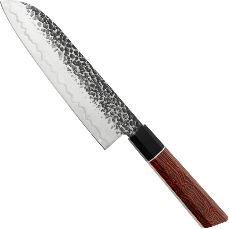 Eden Elements Santoku 2001-318 19 cm Aziatisch Keukenmes van Roestvaststaal met Gekleurde Handgreep