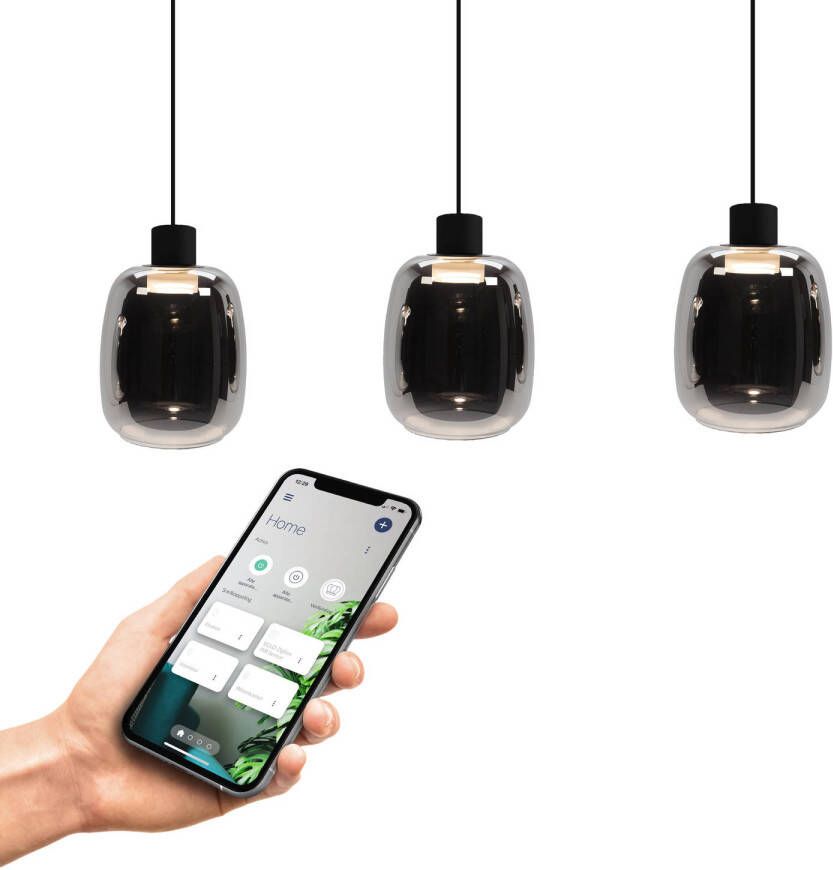 EGLO connect.z Molochio-Z Hanglamp LED Staal;Glas Zwart