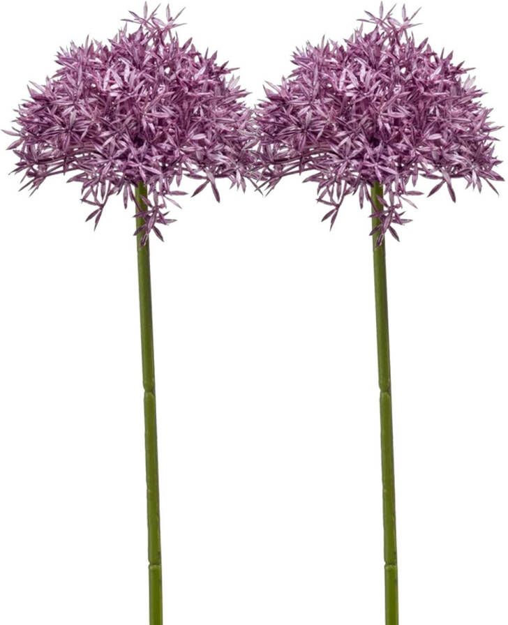 Emerald Allium Sierui kunstbloem 2x losse steel paars 62 cm Natuurlijke uitstraling Kunstbloemen