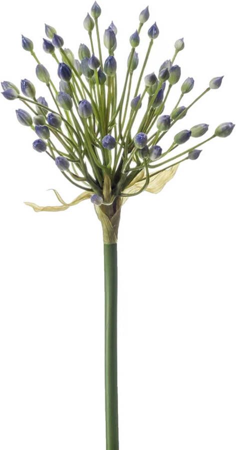 Emerald Allium Sierui kunstbloem losse steel blauw 70 cm Natuurlijke uitstraling Kunstbloemen