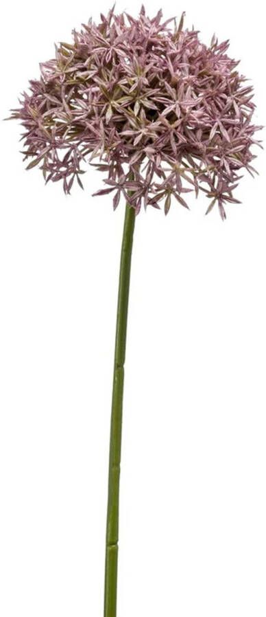 Emerald Allium Sierui kunstbloem losse steel lila 62 cm Natuurlijke uitstraling Kunstbloemen