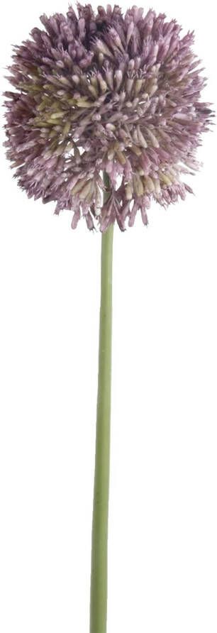 Emerald Allium Sierui kunstbloem losse steel lila paars 65 cm Natuurlijke uitstraling Kunstbloemen
