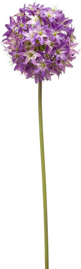Emerald Allium Sierui kunstbloem losse steel paars 60 cm Natuurlijke uitstraling Kunstbloemen