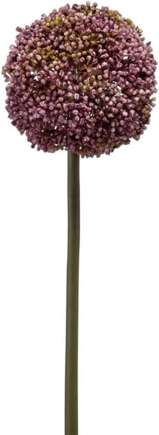 Emerald Allium Sierui kunstbloem losse steel paars 75 cm Natuurlijke uitstraling Kunstbloemen
