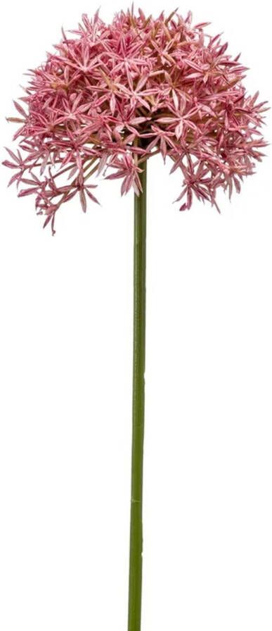 Emerald Allium Sierui kunstbloem losse steel roze 62 cm Natuurlijke uitstraling Kunstbloemen