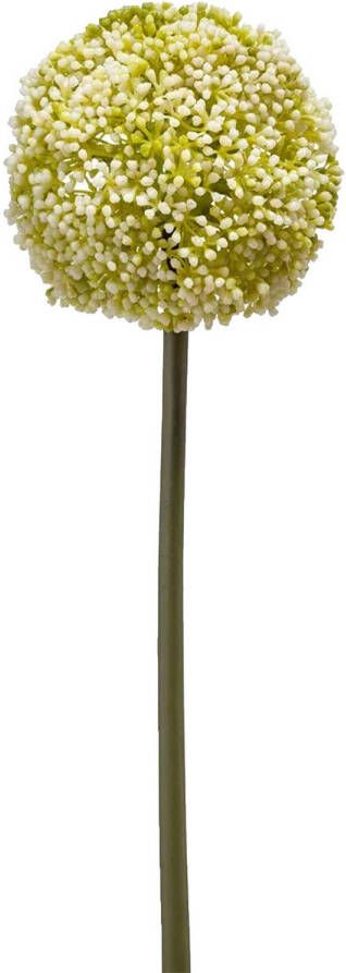 Emerald Allium Sierui kunstbloem losse steel wit groen 75 cm Natuurlijke uitstraling Kunstbloemen
