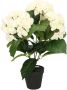 Merkloos Sans marque Witte hortensia kunstplant in kunststof pot 40 cm Hydrangea Macrophylla Woondecoratie accessoires Kunstplanten Nepplanten Hortensia planten in pot - Thumbnail 2