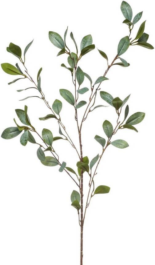 Emerald Kunstbloem Eucalyptus tak 90 cm groen Kunstbloemen