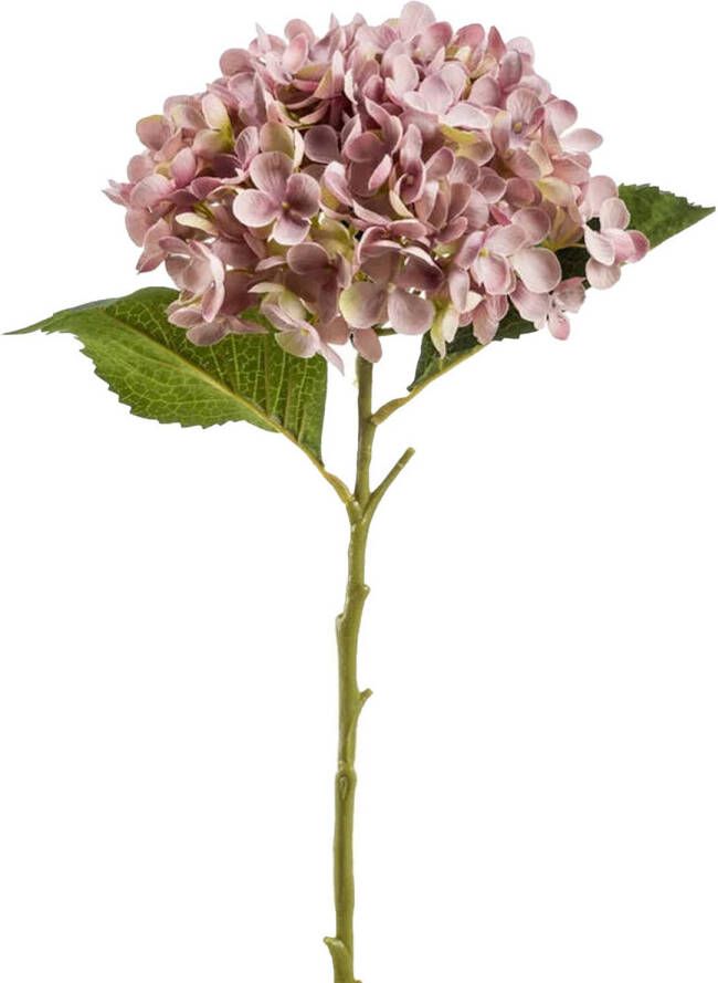 Emerald Kunstbloem hortensia tak Annabelle 52 cm paars Kunst zijdebloem Hydrangea Kunsttakken