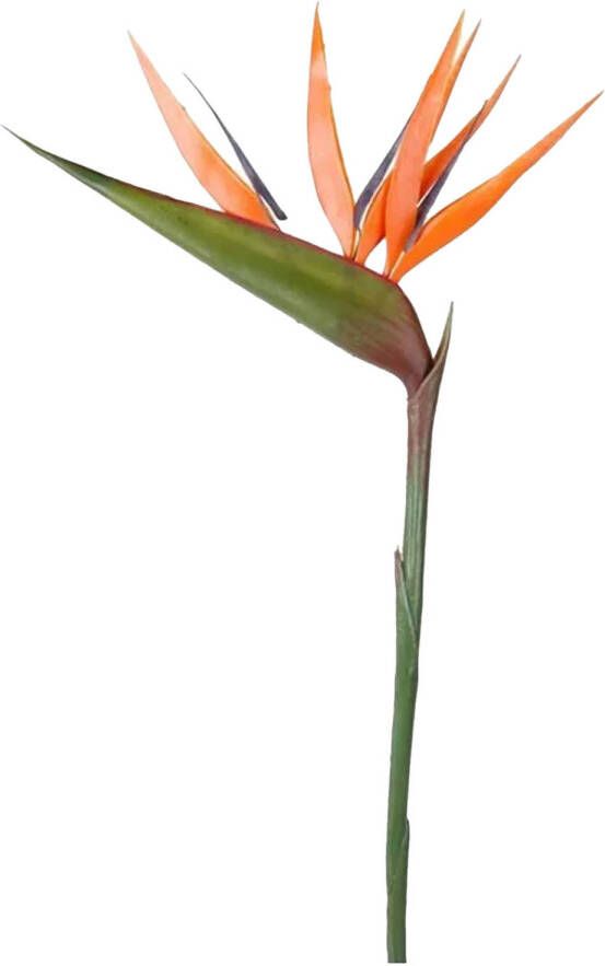 Emerald Kunstbloem Strelitzia 90 cm losse tak kunst zijdebloem Paradijsvogelplant Kunstbloemen