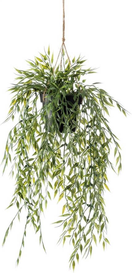 Woonexpress Hangplant Bamboo Groen Polyester Groen 50x0x0cm (hxbxd) - Foto 4