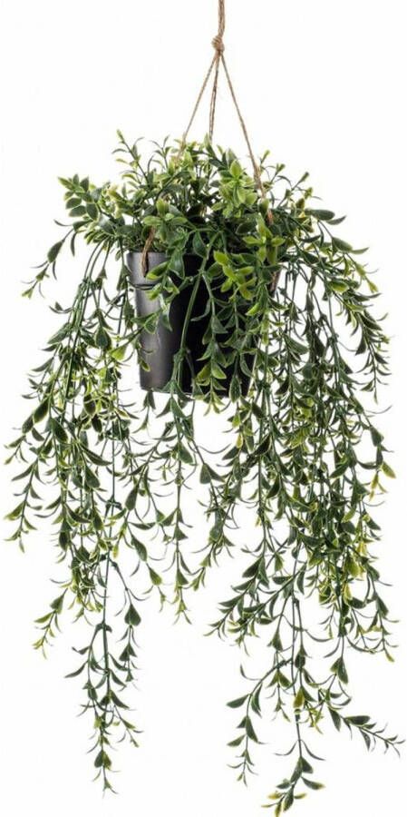 Woonexpress Hangplant Boxwood Groen Polyester Groen 50x0x0cm (hxbxd) - Foto 4