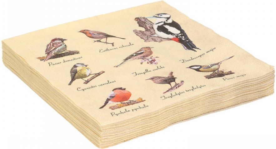 Esschert Design 20x Papieren servetten met vogels print 33 x 33 cm Feestservetten