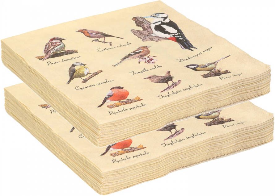 Esschert Design 40x Papieren servetten met vogels print 33 x 33 cm Feestservetten