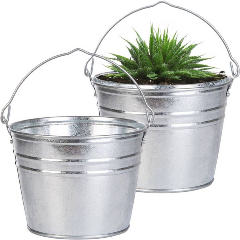 Esschert Design Emmer plantenpot 2x zink zilver D25 x H19 cm IJzeren emmer teil