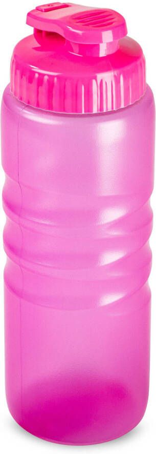 Forte Plastics Plasticforte Drinkfles waterfles bidon 650 ml transparant roze kunststof Drinkflessen
