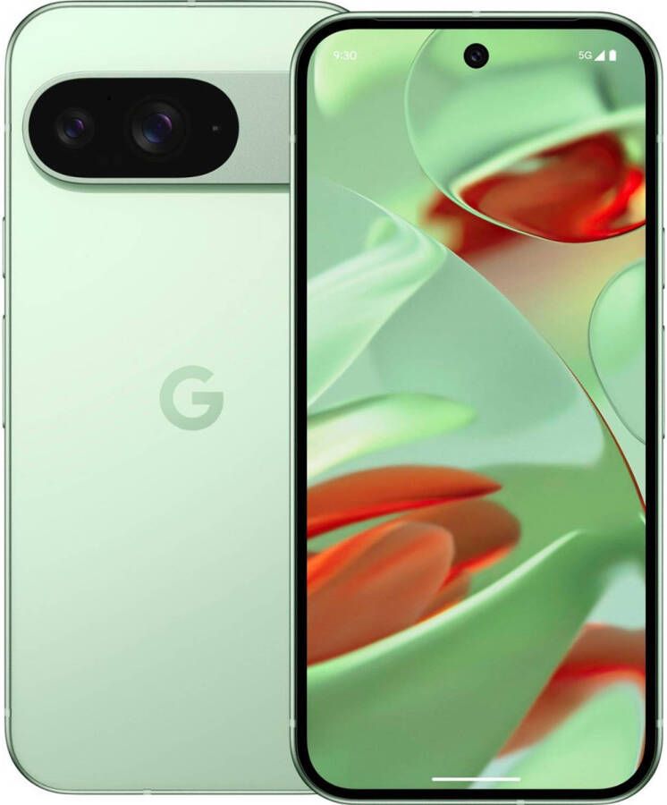 Google Pixel 9 256GB Wintergreen