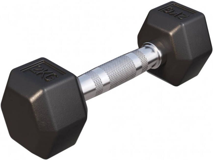 Gorilla Sports Dumbbell 1 x 2 kg Gietijzer Hexagon Halter