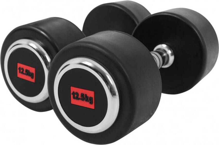 Gorilla Sports Dumbbell set 25 kg Professionele Halters 2 x 12 5 kg