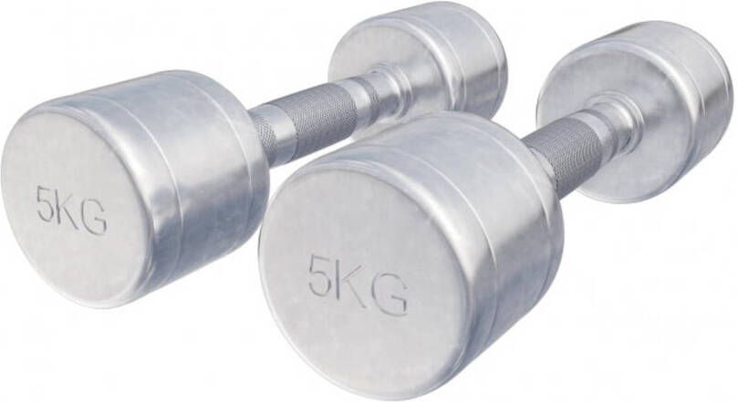 Gorilla Sports Dumbellset 10 kg 2x5 kg Halterset Vaste dumbbells Chroom