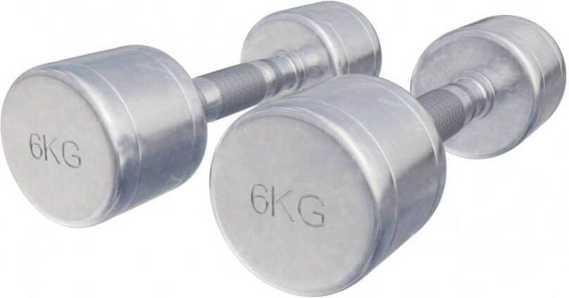 Gorilla Sports Dumbellset 12 kg 2x6 kg Halterset Vaste dumbbells Chroom