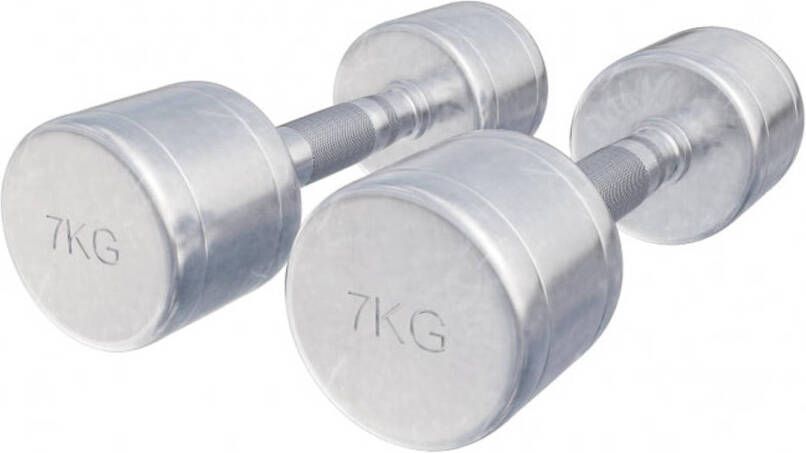 Gorilla Sports Dumbellset 14 kg 2x7 kg Halterset Vaste dumbbells Chroom