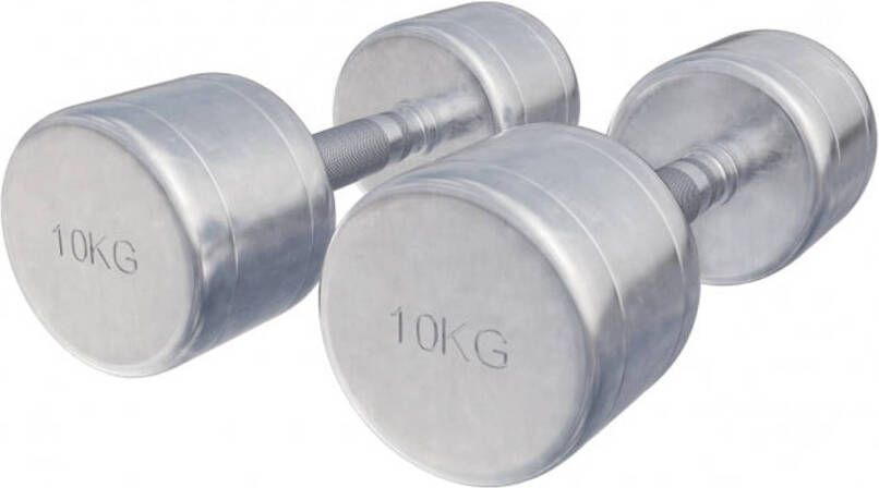 Gorilla Sports Dumbellset 20 kg 2x10 kg Halterset Vaste dumbbells Chroom