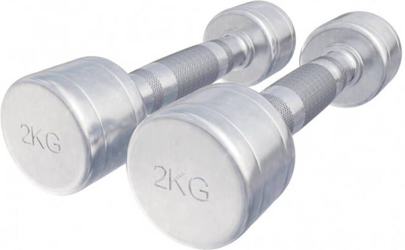 Gorilla Sports Dumbellset 4 kg 2x2 kg Halterset Vaste dumbbells Chroom