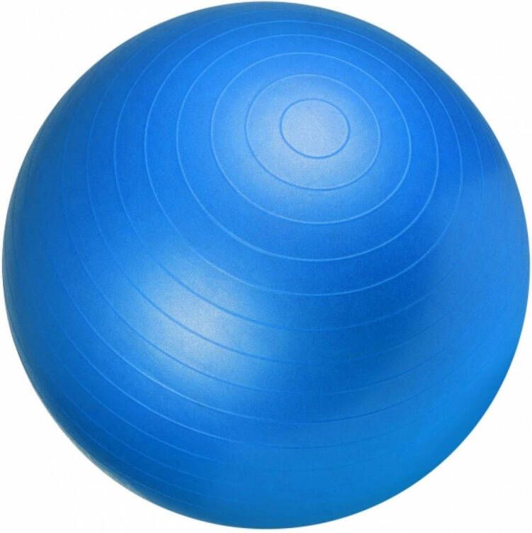 Gorilla Sports Fitnessbal Ø 65 cm incl. Pomp Gym bal Yoga Belastbaar tot 500 kg Blauw