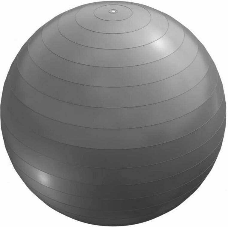 Gorilla Sports Fitnessbal Ø 65 cm incl. Pomp Gym bal Yoga Belastbaar tot 500 kg Grijs