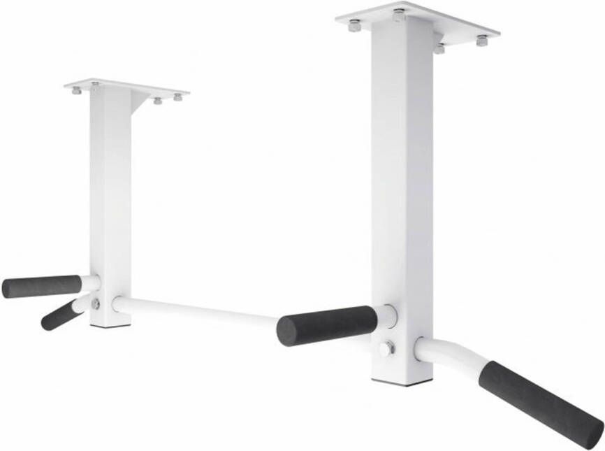 Gorilla Sports Optrekstang Wit Pull Up Bar Dakmontage Belastbaar tot 350 kg