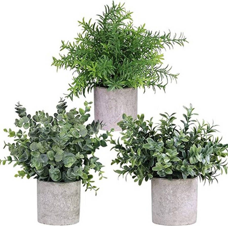 GreenDream Kunstplanten Kleine kunstplanten Kamerplanten 3 stuks Kunstplanten 20cm